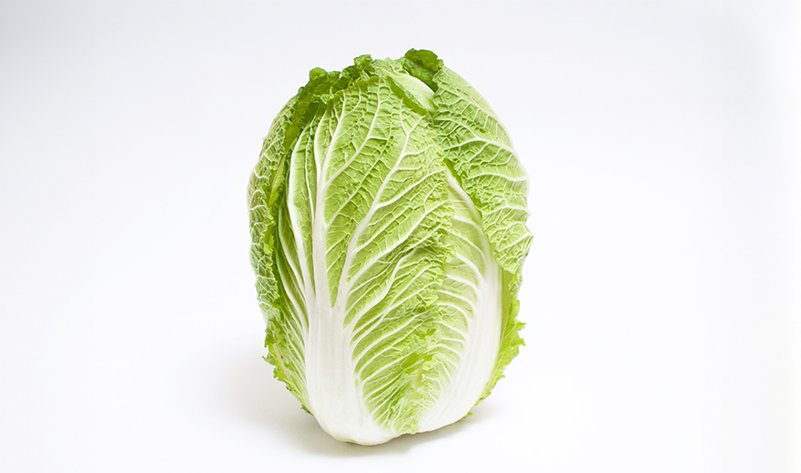 白菜
