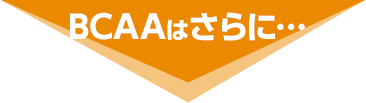 BCAA�͂����