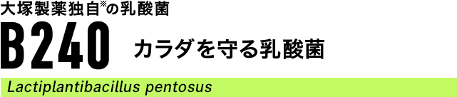 B240�E�J���_�������_��