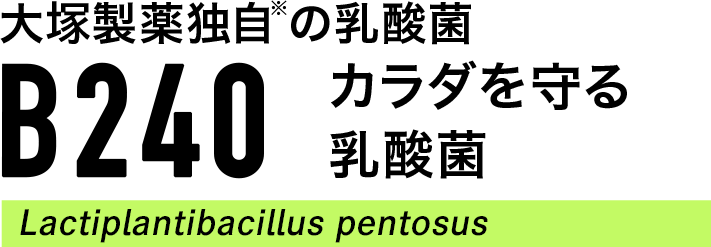 B240・カラダを守る乳酸菌