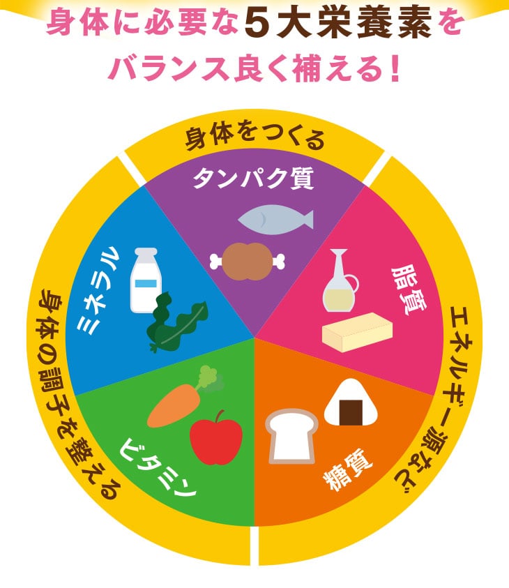 �g�̂ɕK�v��5��h�{�f�𖈓�������������y�ɁI