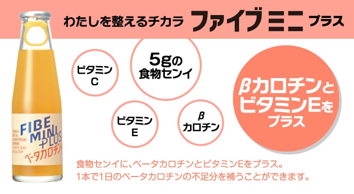 �t�@�C�u�~�j �v���X