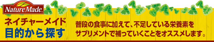 �l�C�`���[���C�h�@�ړI����T��