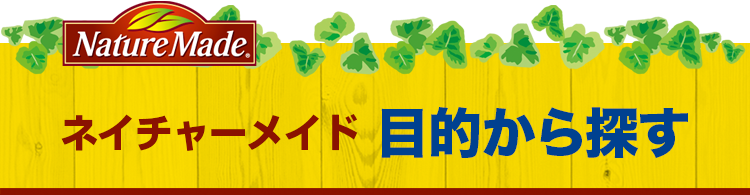 �l�C�`���[���C�h�@�ړI����T��