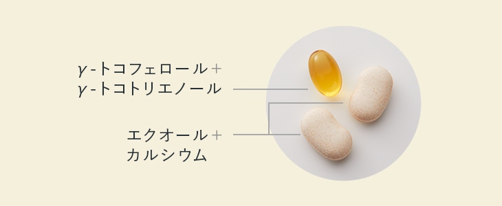 ���̐���