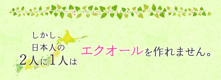 �������A���{�l��2�l��1�l�̓G�N�I�[�������܂���B