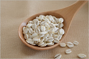 ����������������H�ׂ悤�I�ȒP���V�s�u���Ɨ������̉������G���v