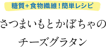 ����+�H���@�ہI�ȒP���V�s�u���܂����Ƃ��ڂ���̃`�[�Y�O���^���v