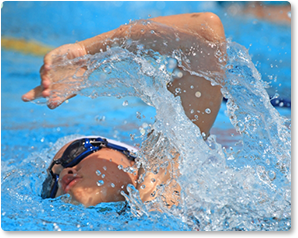 �|�C���g3�@���؋������Ńu����h��