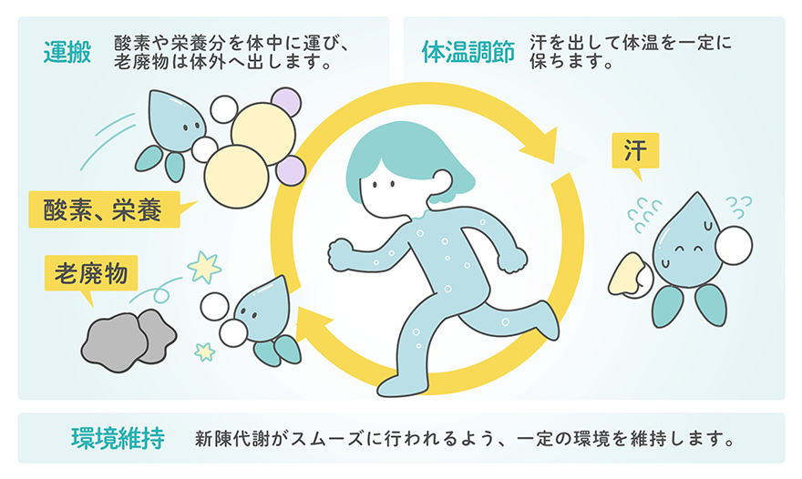 水分の役割