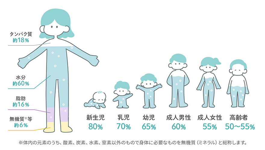 体内の水分量